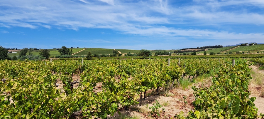 3 Bedroom Property for Sale in Wellington Rural Western Cape